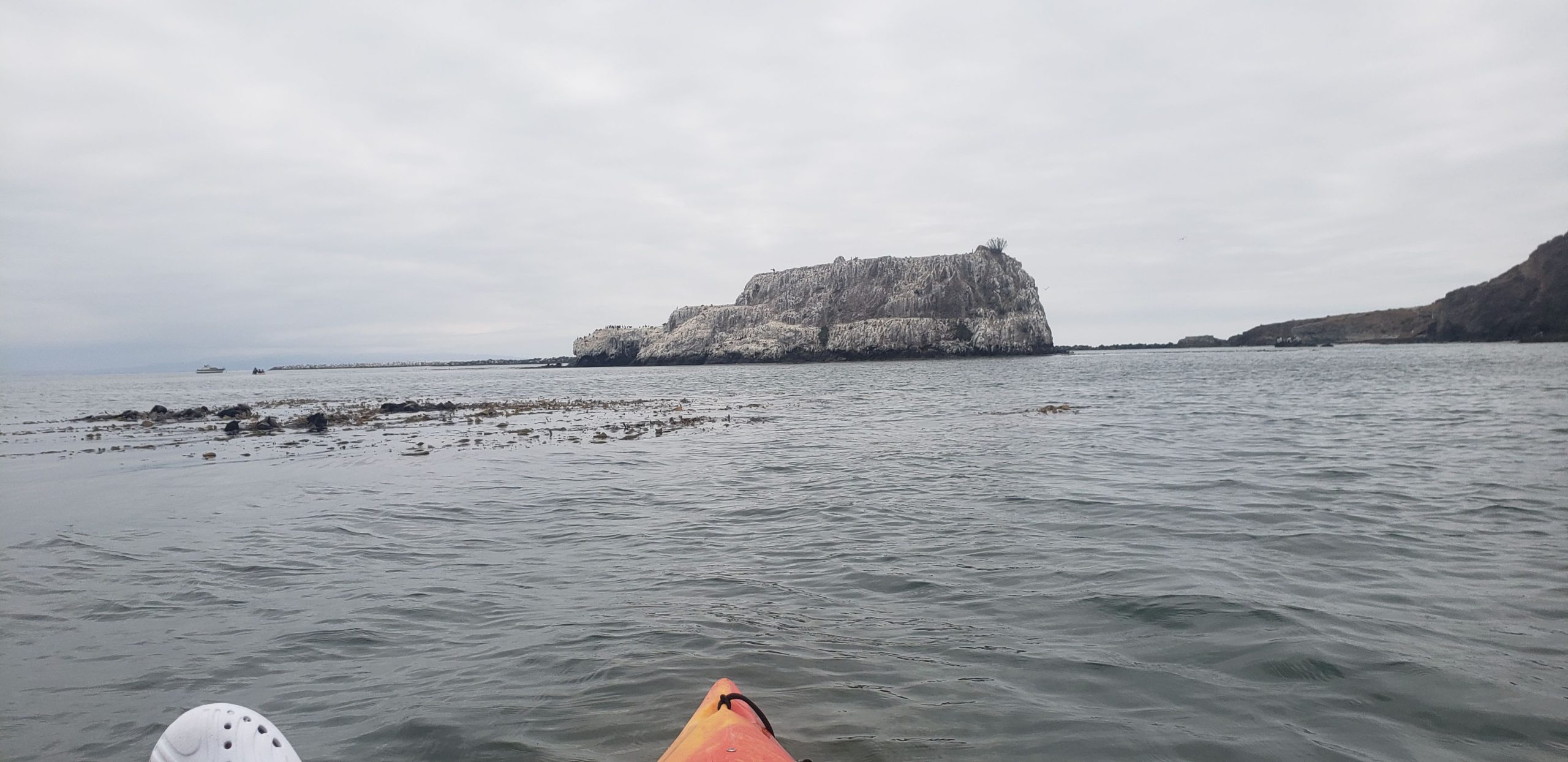 Read more about the article Kayaking and Reggae in Avila Beach