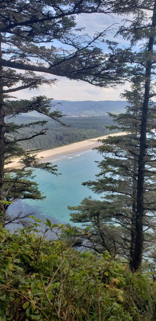 Cape Lookout trail overlooking beach through trees